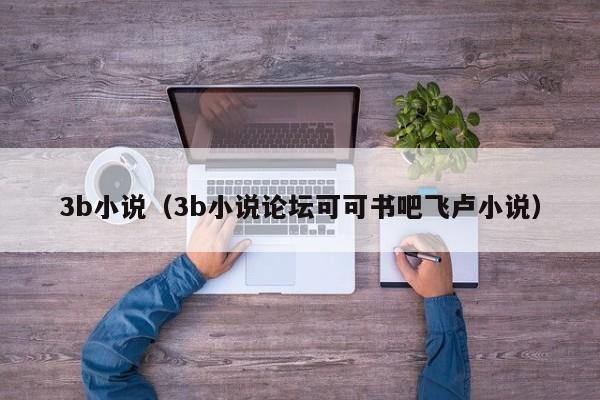 3b小说（3b小说论坛可可书吧飞卢小说）