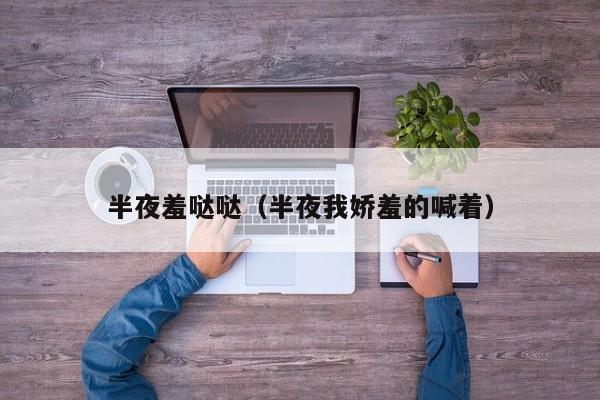 半夜羞哒哒（半夜我娇羞的喊着）