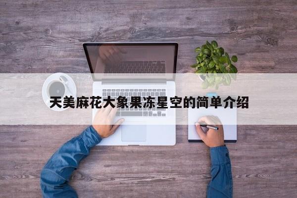 天美麻花大象果冻星空的简单介绍