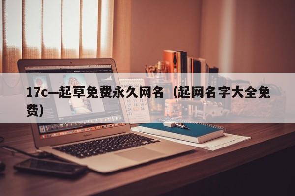 17c—起草免费永久网名（起网名字大全免费）