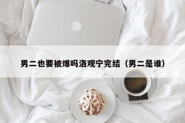 男二也要被爆吗洛观宁完结（男二是谁）