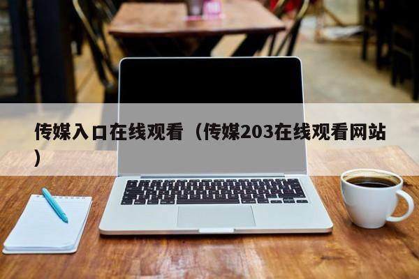 传媒入口在线观看（传媒203在线观看网站）