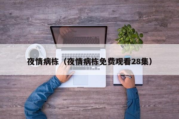 夜情病栋（夜情病栋免费观看28集）